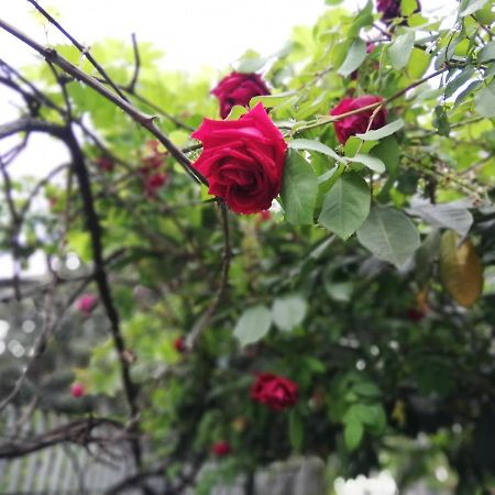 Villamelchiorre 1 Milano Dış mekan fotoğraf